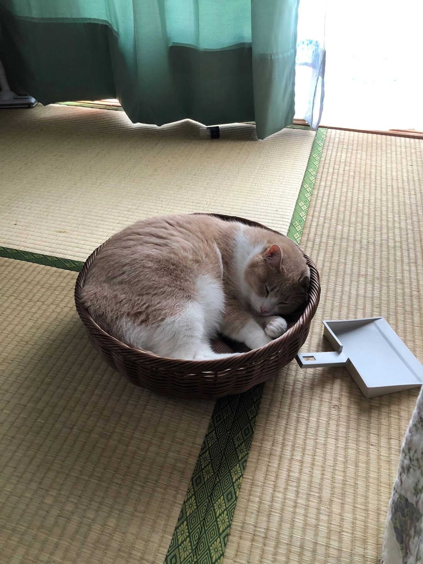 ブログ画像
