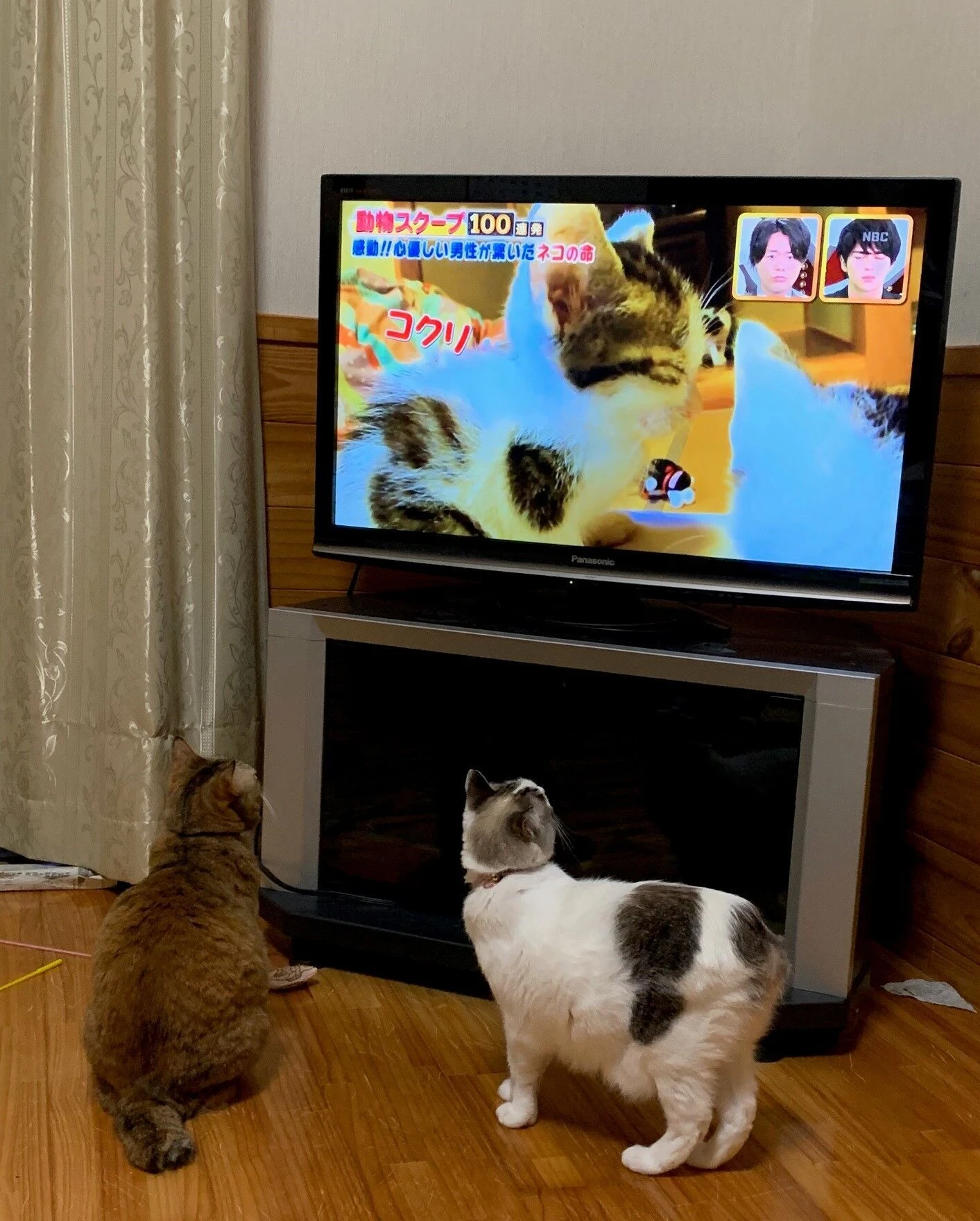 ブログ画像