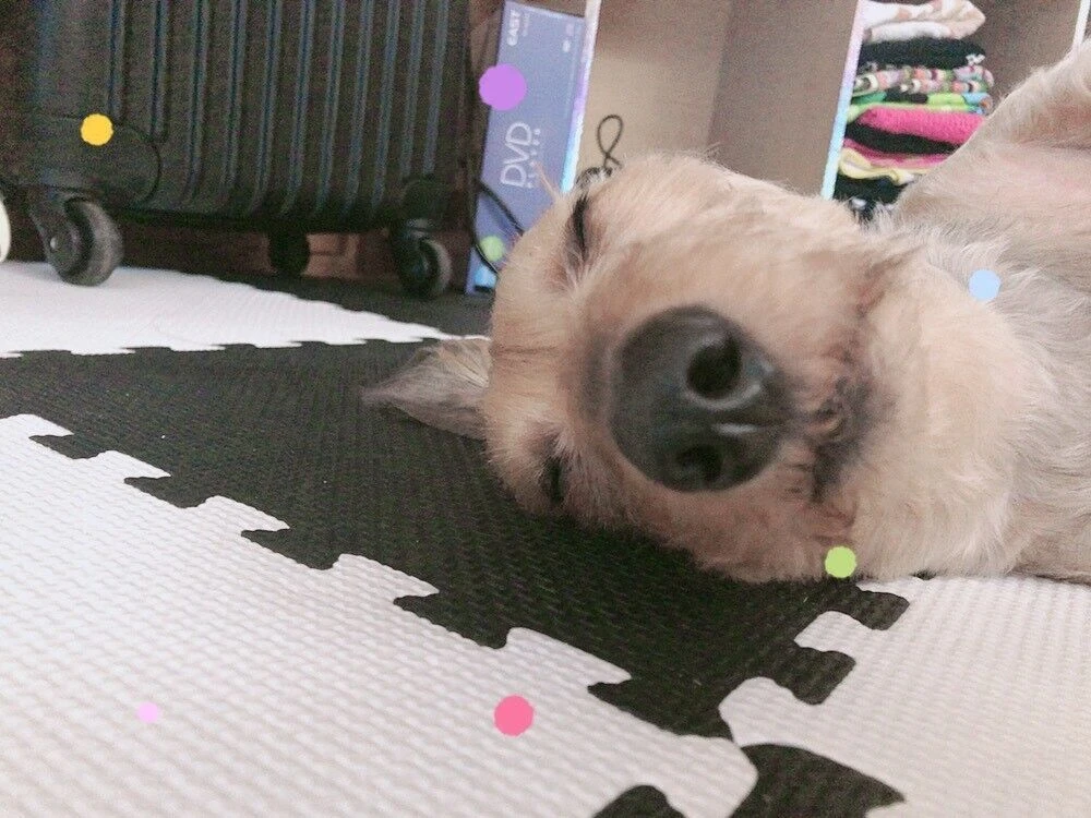 ブログ画像