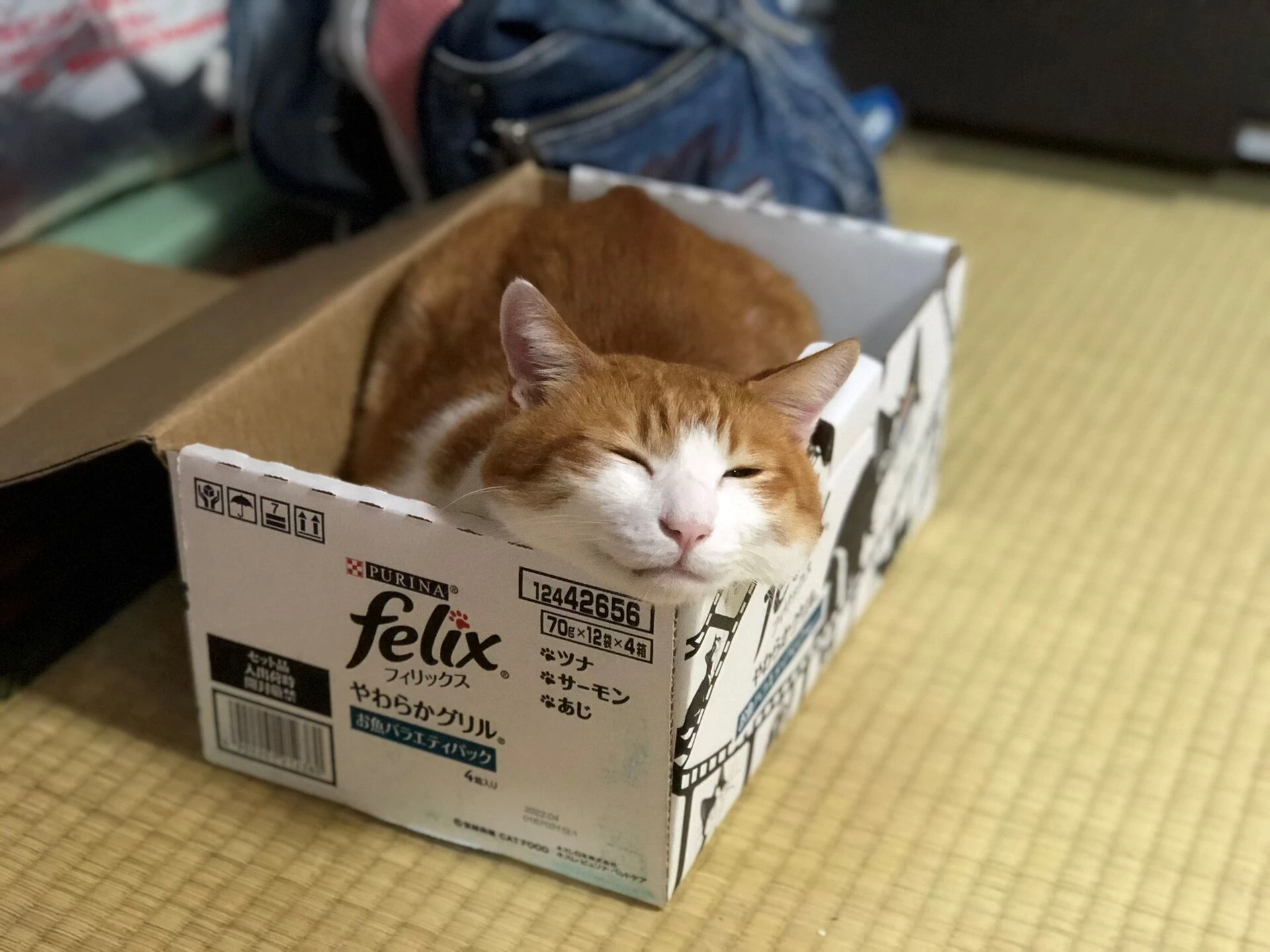 ブログ画像