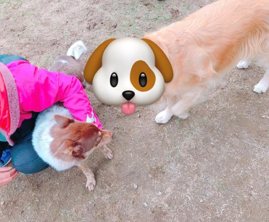 ブログ画像