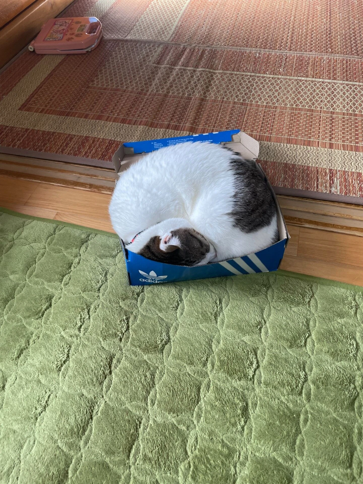 ブログ画像