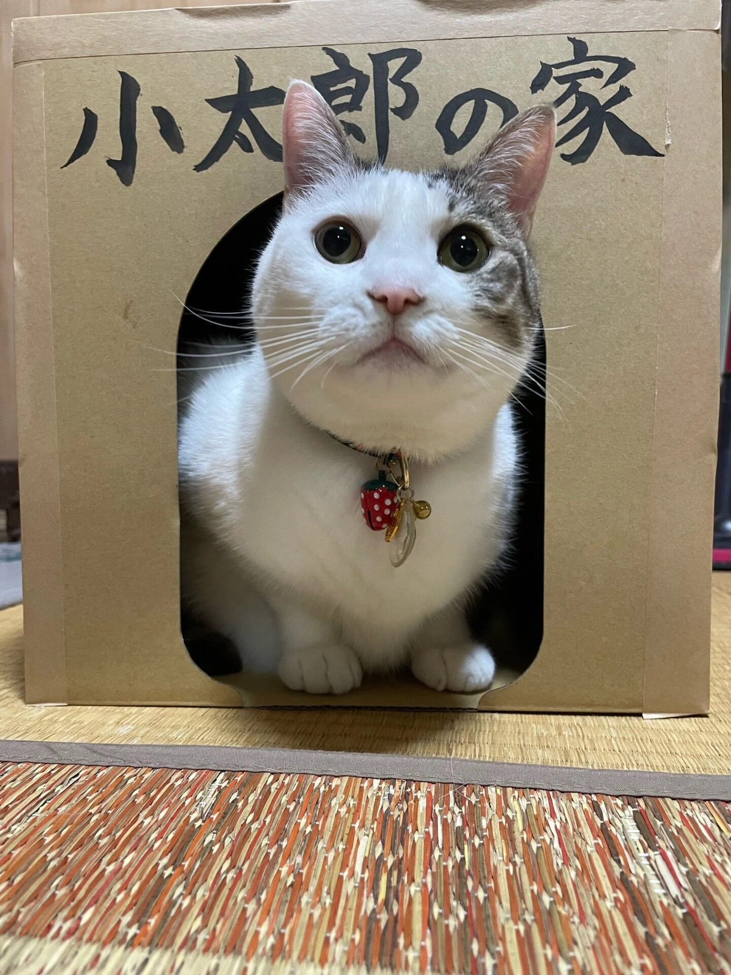 ブログ画像