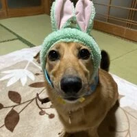 ブログ画像