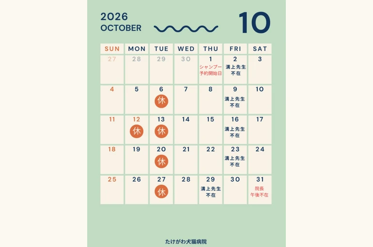 スクリーンショット 2026-10-22 114132