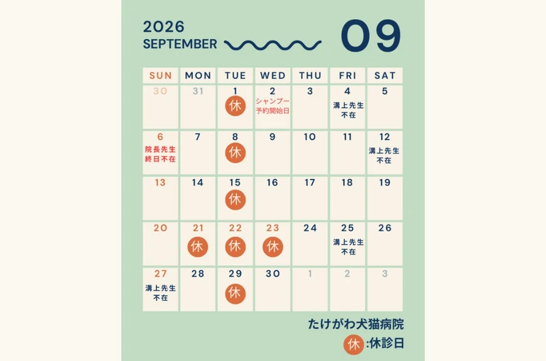 スクリーンショット 2026-08-25 144955