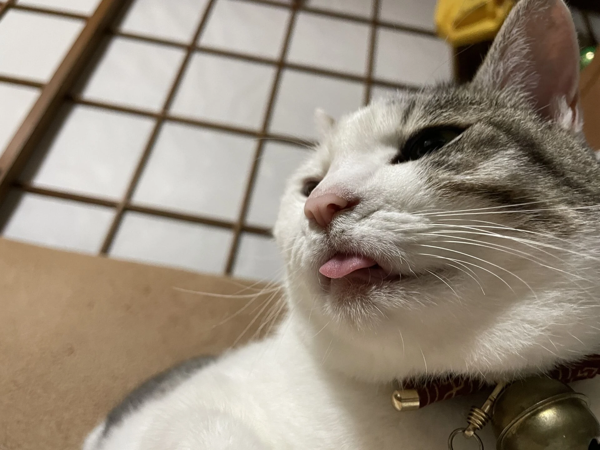 ブログ画像